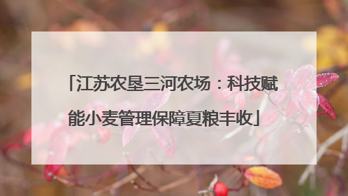 江苏农垦三河农场：科技赋能小麦管理保障夏粮丰收