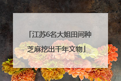 江苏6名大姐田间种芝麻挖出千年文物