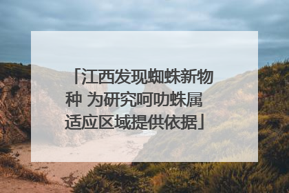 江西发现蜘蛛新物种 为研究呵叻蛛属适应区域提供依据
