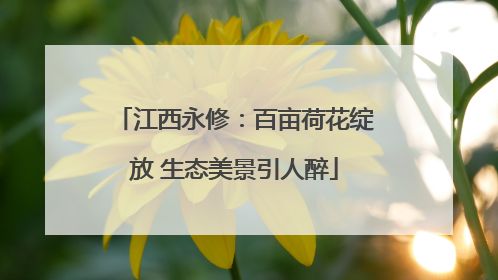 江西永修：百亩荷花绽放 生态美景引人醉