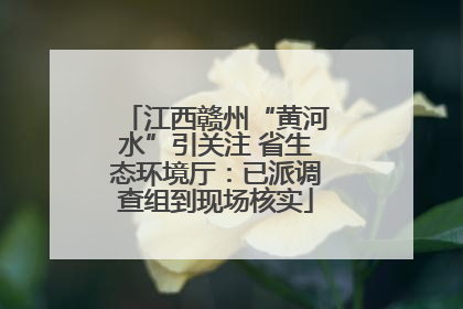 江西赣州“黄河水”引关注 省生态环境厅：已派调查组到现场核实