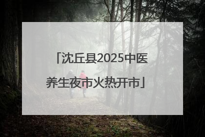 沈丘县2025中医养生夜市火热开市