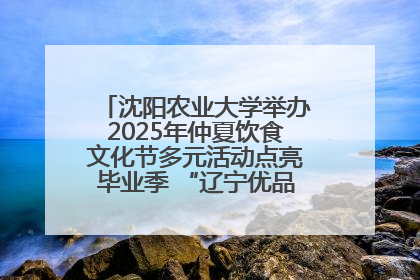 沈阳农业大学举办2025年仲夏饮食文化节多元活动点亮毕业季 “辽宁优品”进校园首站启动