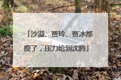 沙溢、贾玲、贾冰都瘦了，压力给到沈腾