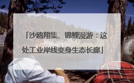 沙鸥翔集、锦鲤漫游：这处工业岸线变身生态长廊