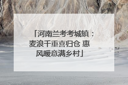 河南兰考考城镇：麦浪千重喜归仓 惠风暖意满乡村