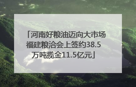河南好粮油迈向大市场 福建粮洽会上签约38.5万吨揽金11.5亿元