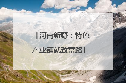 河南新野：特色产业铺就致富路