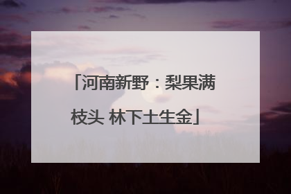 河南新野：梨果满枝头 林下土生金