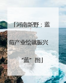 河南新野：蓝莓产业绘就振兴“蓝”图
