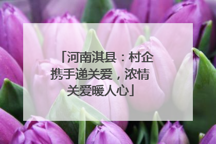 河南淇县：村企携手递关爱，浓情关爱暖人心