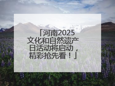 河南2025文化和自然遗产日活动将启动，精彩抢先看！
