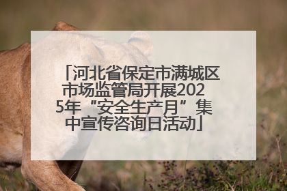 河北省保定市满城区市场监管局开展2025年“安全生产月”集中宣传咨询日活动
