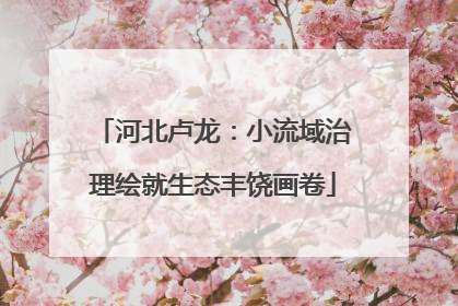 河北卢龙：小流域治理绘就生态丰饶画卷