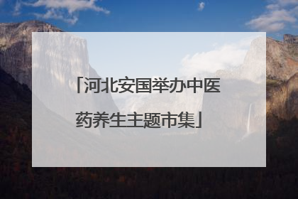 河北安国举办中医药养生主题市集