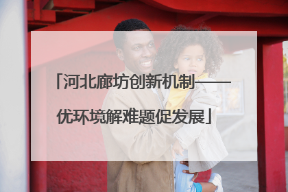 河北廊坊创新机制——优环境解难题促发展