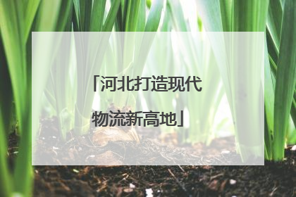 河北打造现代物流新高地