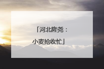 河北隆尧：小麦抢收忙