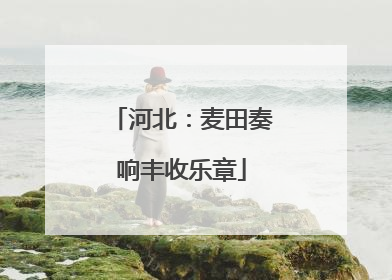 河北：麦田奏响丰收乐章