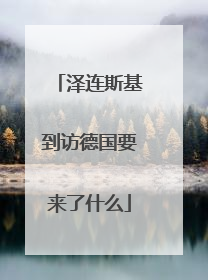 泽连斯基到访德国要来了什么