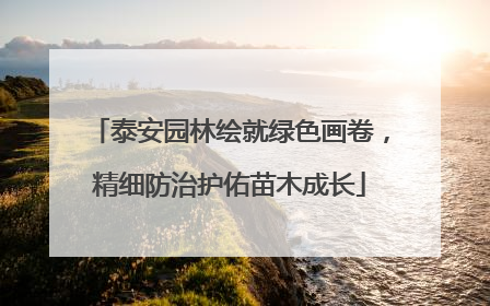 泰安园林绘就绿色画卷，精细防治护佑苗木成长