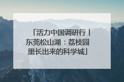 活力中国调研行丨东莞松山湖：荔枝园里长出来的科学城