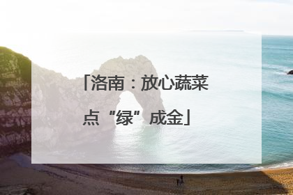 洛南：放心蔬菜点“绿”成金