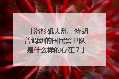 洛杉矶大乱，特朗普调动的国民警卫队是什么样的存在？