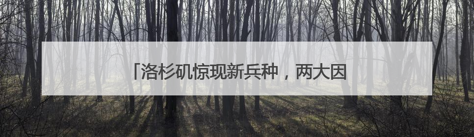 洛杉矶惊现新兵种，两大因素引爆加州“内战”升级