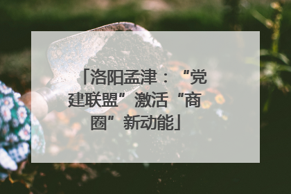 洛阳孟津：“党建联盟”激活“商圈”新动能