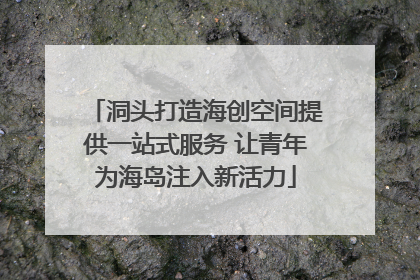 洞头打造海创空间提供一站式服务 让青年为海岛注入新活力