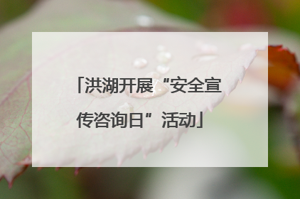 洪湖开展“安全宣传咨询日”活动