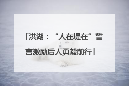 洪湖：“人在堤在”誓言激励后人勇毅前行