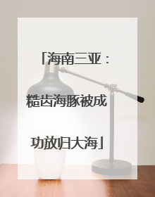 海南三亚：糙齿海豚被成功放归大海