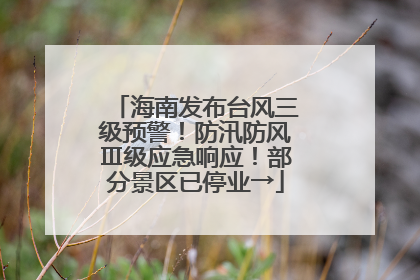 海南发布台风三级预警！防汛防风Ⅲ级应急响应！部分景区已停业→
