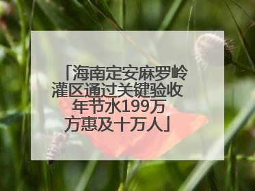 海南定安麻罗岭灌区通过关键验收 年节水199万方惠及十万人