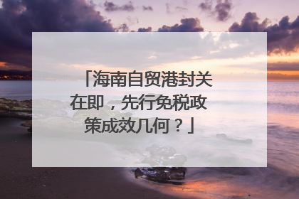 海南自贸港封关在即，先行免税政策成效几何？