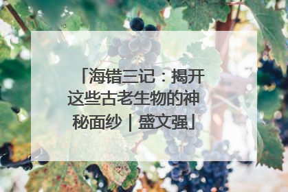 海错三记：揭开这些古老生物的神秘面纱｜盛文强