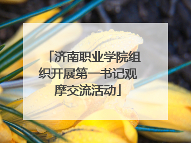 济南职业学院组织开展第一书记观摩交流活动