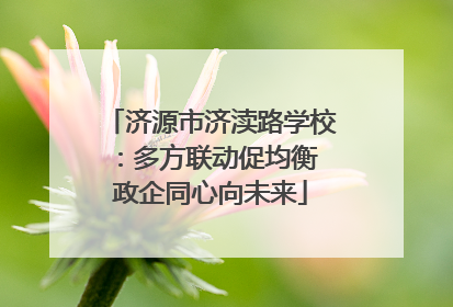济源市济渎路学校：多方联动促均衡 政企同心向未来