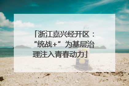 浙江嘉兴经开区：“统战+”为基层治理注入青春动力