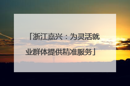 浙江嘉兴：为灵活就业群体提供精准服务