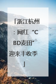 浙江杭州：网红“CBD麦田”迎来丰收季