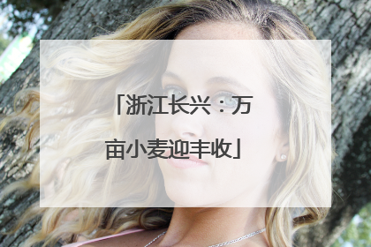 浙江长兴：万亩小麦迎丰收