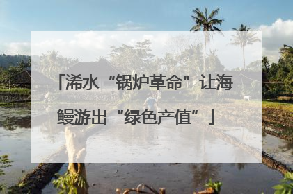 浠水“锅炉革命”让海鳗游出“绿色产值”