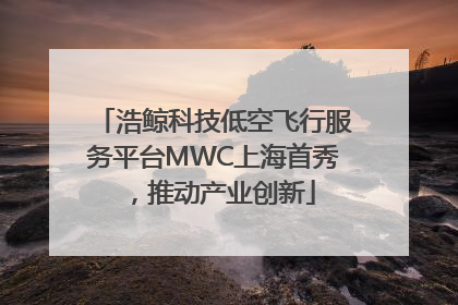 浩鲸科技低空飞行服务平台MWC上海首秀，推动产业创新