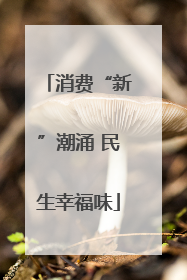 消费“新”潮涌 民生幸福味