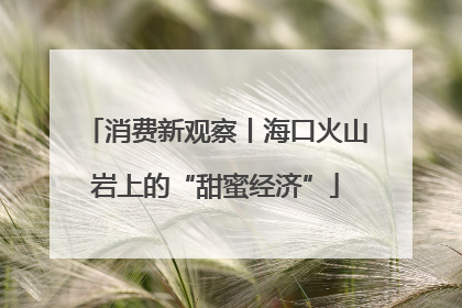 消费新观察丨海口火山岩上的“甜蜜经济”