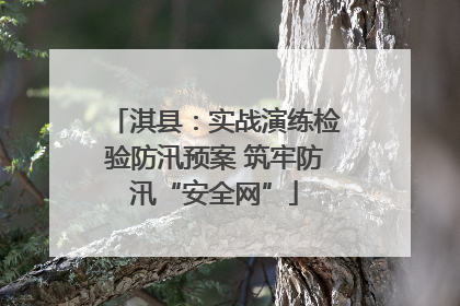 淇县：实战演练检验防汛预案 筑牢防汛“安全网”