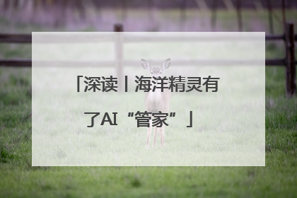 深读丨海洋精灵有了AI“管家”